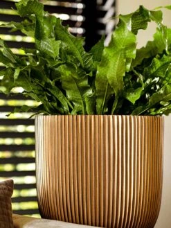 Capi Europe - Bloempot Bol Groove - 23x21 - Goud - Bloempot Voor Binnen - BGVGB134 -Buitentuinwinkel 900x1200 27