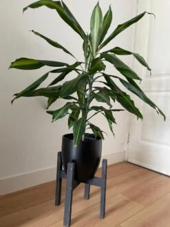 Plantenstandaard Binnen - Diameter Tot 24 Cm - Plantenkruk - Bloempotten Voor Binnen - Plantentafeltje Voor Binnen - Bloempot Standaard | Plantenstandaard - Hout - Mat Zwart -Buitentuinwinkel 900x1200 31