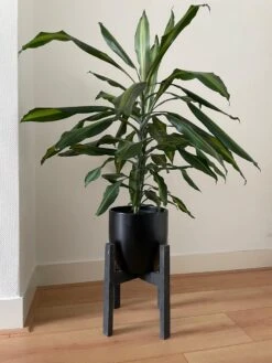 Plantenstandaard Binnen - Diameter Tot 24 Cm - Plantenkruk - Bloempotten Voor Binnen - Plantentafeltje Voor Binnen - Bloempot Standaard | Plantenstandaard - Hout - Mat Zwart -Buitentuinwinkel 900x1200 32