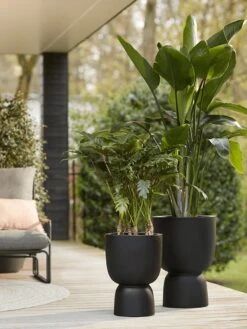 Elho Pure Coupe 41 - Bloempot Voor Binnen & Buiten - Ø 41.3 X H 57.9 Cm - Zwart/Zwart -Buitentuinwinkel 900x1200 34