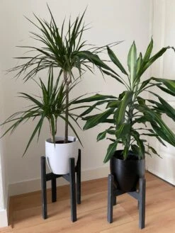 Plantenstandaard Binnen - Set Van 2 - Diameter Tot 24 Cm - Plantenkruk - Bloempotten Voor Binnen - Plantentafeltje Voor Binnen - Bloempot Standaard - Plantenstandaard - Hout - Mat Zwart/Donkergrijs -Buitentuinwinkel 900x1200 40