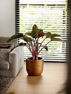 Capi Europe - Bloempot Bol Retro XL - 42x41 - Goud - Bloempot Voor Binnen - Opening ⌀36 - RTG933 -Buitentuinwinkel 900x1200 47