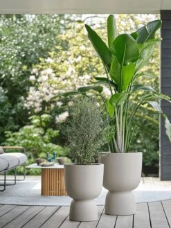 Elho Pure Coupe 41 - Bloempot Voor Binnen & Buiten - Ø 41.3 X H 57.9 Cm - Beige/Balanced Beige 28 Elho Pure Coupe 41 - Bloempot Voor Binnen & Buiten - Ø 41.3 X H 57.9 Cm - Beige/Balanced Beige -Buitentuinwinkel 900x1200 52