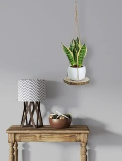 Set Van 2 Boomstam Rond Wandrek Plantenhangers - Boho Jute Houten Plantenrek - Hangpot Voor Binnen/Buiten - Hangende Bloempot Plank - Hangplant Houder - Bohemian Macrame Stijl Wandhanger - Hangplank Plant Hanger - Planthanger - Ø Rond 25-20cm -Buitentuinwinkel 912x1200 1