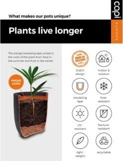 Capi Europe - Bloempot Bol Smooth NL - 35x34 - Zwart - Voor Binnen En Buiten - KBL932 -Buitentuinwinkel 917x1200 1