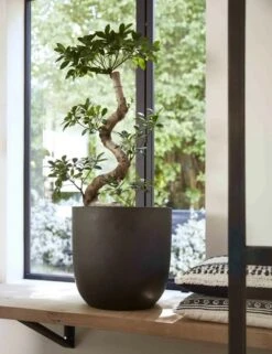 Capi Europe - Bloempot Bol Smooth NL - 35x34 - Zwart - Voor Binnen En Buiten - KBL932 -Buitentuinwinkel 923x1200 1