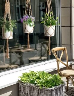 5 Stuks Jute Macrame Plantenhangers - Boho Handgeweven Katoen Hangpot Voor Binnen/Buiten - Hangende Bloempot Met Kralen - Macramé Touw/Koord Hangplant Houder - Bohemian Wandhanger Decoratie - Plant Hanger - Verticale Tuin Bloempothouder Planthanger -Buitentuinwinkel 923x1200 9