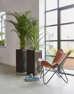 Capi Europe - Bloempot Rechthoek Smooth NL - 36x36x79 - Zwart - Voor Binnen En Buiten - KBL952 -Buitentuinwinkel 941x1200 1