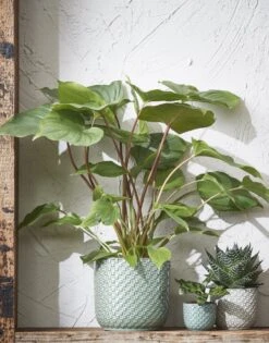 Mica Decorations Daan Bloempot - H17,5 X Ø19 Cm - Groen -Buitentuinwinkel 942x1200 3