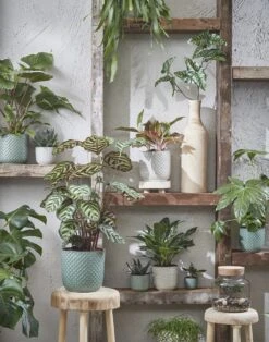 Mica Decorations Daan Bloempot - H17,5 X Ø19 Cm - Groen -Buitentuinwinkel 943x1200 2