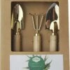 Botang 3-delige Metalen Tuingereedschap Set, Mini Troffel, Harkje En Transplanter - Opgelet Mini Set -Buitentuinwinkel 960x1200 17