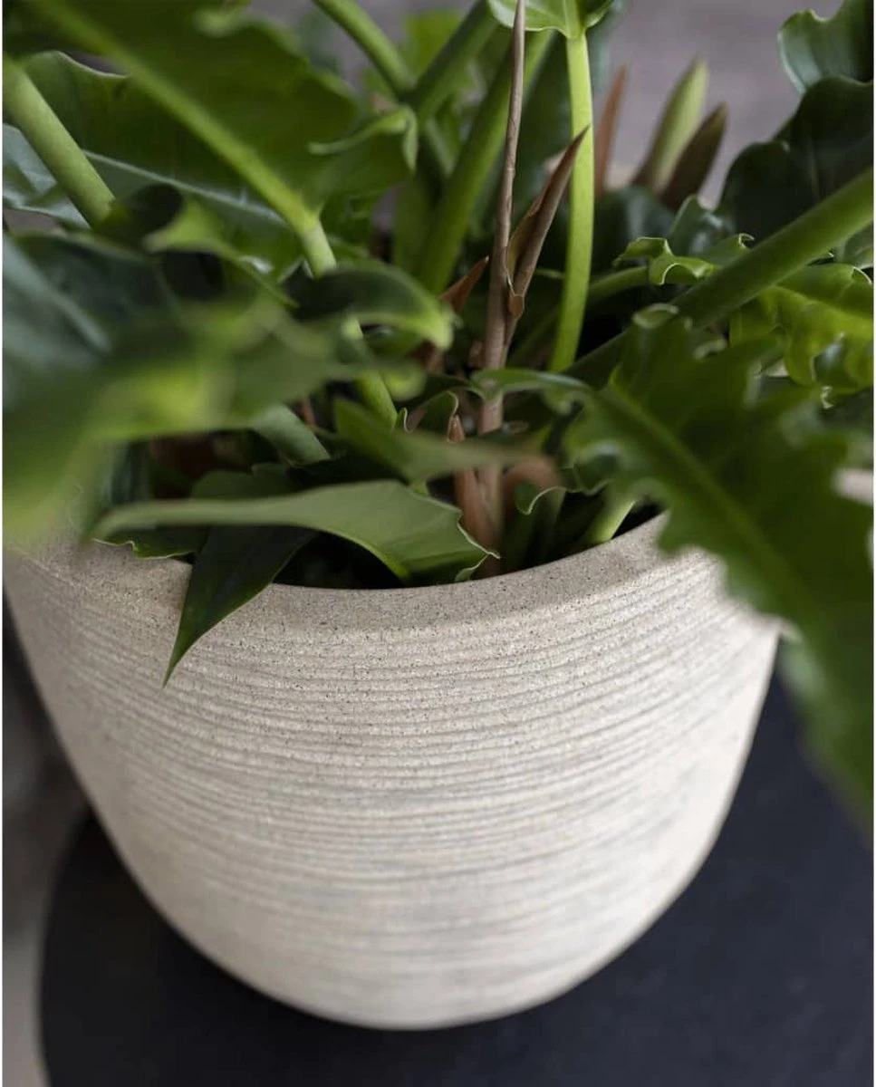 Capi Europe - Bloempot Bol Waste Rib NL - 35x34 - Terrazzo Beige - Voor Binnen En Buiten - KTBR932 8 Capi Europe - Bloempot Bol Waste Rib NL - 35x34 - Terrazzo Beige - Voor Binnen En Buiten - KTBR932 - Afbeelding 6