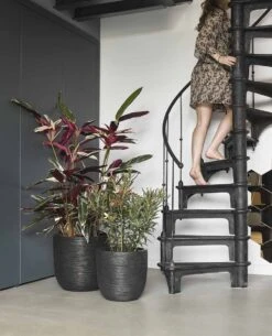 Capi Europe - Bloempot Bol Rib NL - 35x34 - Zwart - Voor Binnen En Buiten - KBLR932 -Buitentuinwinkel 972x1200 1