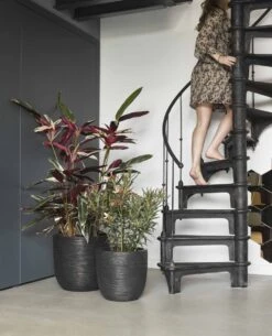 Capi Europe - Bloempot Bol Rib NL - 54x52 - Zwart - Voor Binnen En Buiten - KBLR935 -Buitentuinwinkel 972x1200 2