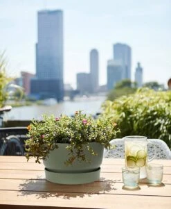 Elho Greenville Schaal 33 - Bloempot Voor Buiten - Ø 32.5 X H 19.4 Cm - Groen/Blad Groen -Buitentuinwinkel 986x1200