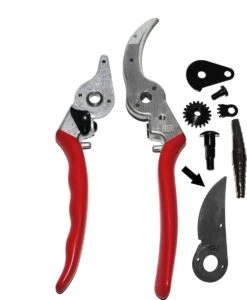 Felco 2 + GRATIS Felco Handschoenen In Cadeauverpakking 11 Felco 2 + GRATIS Felco Handschoenen In Cadeauverpakking -Buitentuinwinkel 987x1200