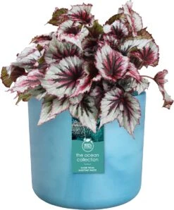 Elho The Ocean Collection Round 22cm - Bloempot Voor Binnen - 100% Gerecycled Materiaal - Gemaakt Met Zeeafval - Ø 22.3 X H 20.4 Cm - Atlantisch Blauw -Buitentuinwinkel 994x1200 2