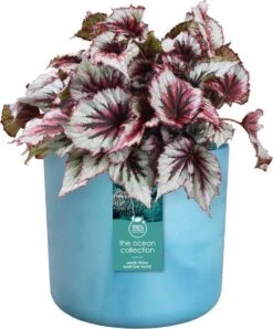 Elho The Ocean Collection Round 22cm - Bloempot Voor Binnen - 100% Gerecycled Materiaal - Gemaakt Met Zeeafval - Ø 22.3 X H 20.4 Cm - Atlantisch Blauw -Buitentuinwinkel 995x1200 1