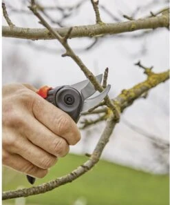 GARDENA - ExpertCut - Snoeischaar - 22 Diameter Tak -Buitentuinwinkel 999x1200 1